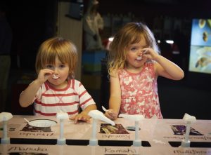 Arataki Honey Visitor Centre, near Havelock North Kids On Board