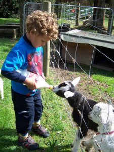 Whiti Farm Park, Coromandel Kids On Board