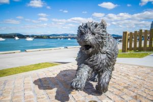 Hairy Maclary Sculptures and Waterfront Playground, Tauranga Kids On Board