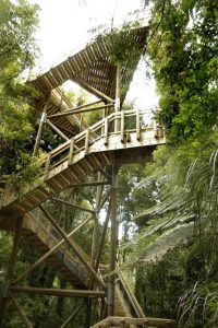 Sanctuary Mountain Maungatautari, Pukeatua, South of Cambridge Kids On Board