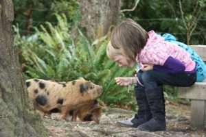Family Passes (x3) to Staglands Wildlife Reserve, Upper Hutt Kids On Board