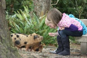 Family Passes (x3) to Staglands Wildlife Reserve, Upper Hutt Kids On Board Family Passes (x3) to Staglands Wildlife Reserve, Upper Hutt Kids On Board