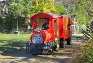 Hawke's Bay Farmyard Zoo, Haumoana Kids On Board