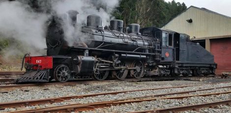 Kids On Board Silver Stream Railway, Upper Hutt | Kids On Board