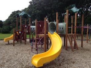 Campbell Park, playground and skatepark, Paekakariki Kids On Board