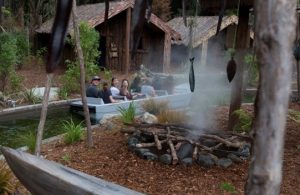 Rainbow Springs Nature Park, Rotorua Kids On Board