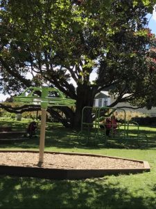 Marine Gardens playground, train and splash pad, Raumati Beach Kids On Board