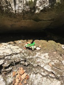 Labyrinth Rocks, Takaka Kids On Board