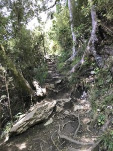 Rawhiti Cave, Takaka Kids On Board