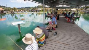 Family Pass to Huka Prawn Park, Taupo Kids On Board
