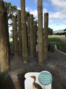 Matairangi Nature Trail, Wellington Kids On Board