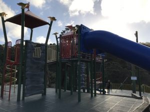 Playground Botanic Gardens, Wellington Kids On Board