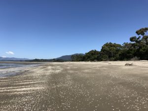 Milnthorpe Park, Scenic Reserve and Arboretum, Parapara Beach, Golden Bay Kids On Board