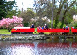 Queen Elizabeth Park, Masterton Kids On Board