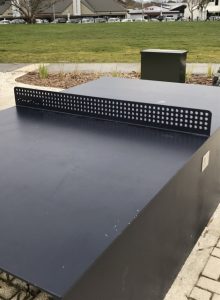 Havelock North Domain playground and skatepark Kids On Board