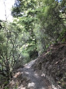 Patuna Chasm Walk, near Martinborough Kids On Board