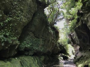 Patuna Chasm Walk, near Martinborough Kids On Board