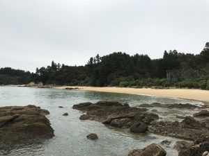 Split Apple Rock, near Kaiteriteri Kids On Board