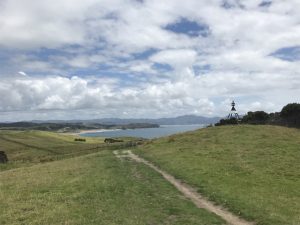 Tawharanui Regional Park Kids On Board