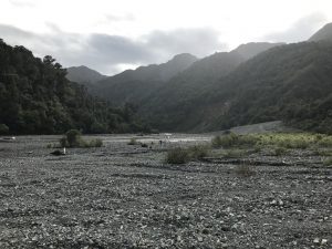 Walks and Overnight tramps in the Rimutaka Forest Park, Wainuiomata Kids On Board