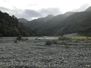 Papatahi Hut, Remutaka Forest Park Kids On Board