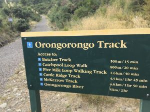 Walks and Overnight tramps in the Rimutaka Forest Park, Wainuiomata Kids On Board