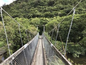 Cycle or Walk, Wainuiomata Recreation Area Kids On Board