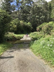 Cycle or Walk, Wainuiomata Recreation Area Kids On Board