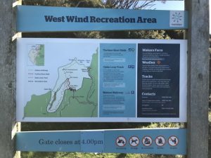 Walking/Cycling at West Winds Recreation Area, Makara Kids On Board