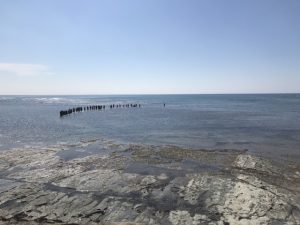 Feeding Stingrays, Tatapouri Bay Kids On Board