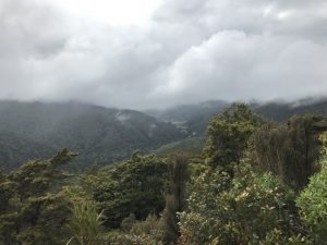 Holdsworth Lodge, Tararua Range, near Masterton Kids On Board