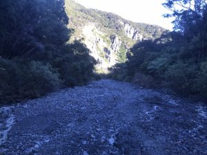 The Putangirua Pinnacles, Aorangi Forest Park Kids On Board