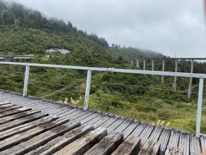 Old Coach Road - cycle, near Ohakune Kids On Board