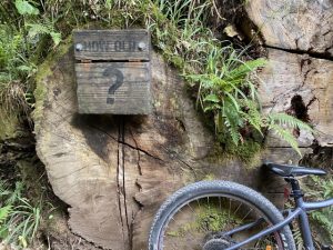 Old Coach Road - cycle, near Ohakune Kids On Board