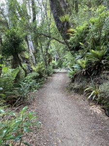 Old Coach Road - cycle, near Ohakune Kids On Board