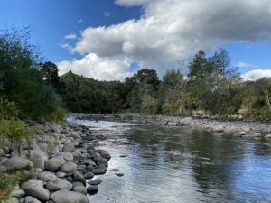 Ruatiti Domain, Freedom Camping Kids On Board